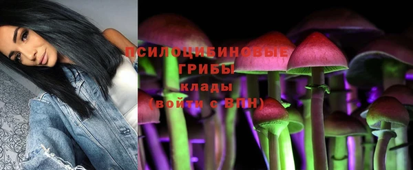 трава Белокуриха