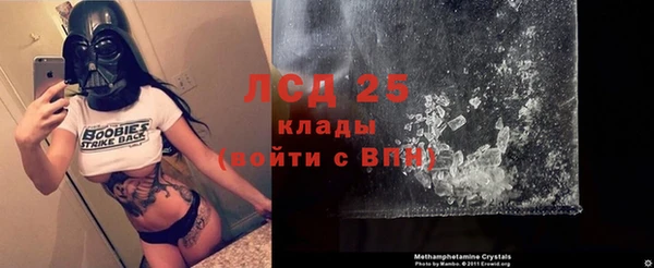 трава Белокуриха