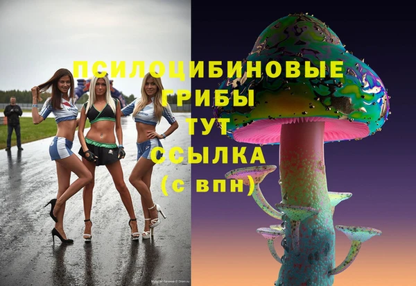 трава Белокуриха