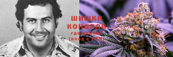 трава Белокуриха