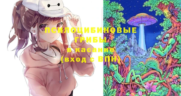 2c-b Белоозёрский