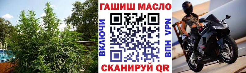 Дистиллят ТГК THC oil  закладки  Щёлкино 
